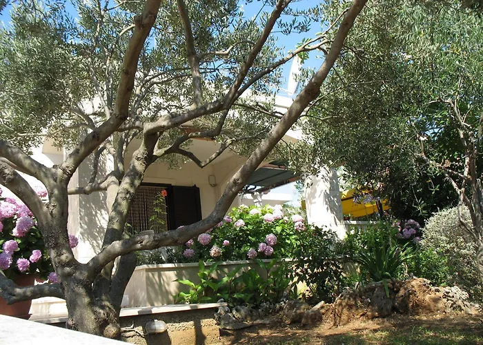 Holiday home House With A Parking Space Selca, Brac - 11465 *